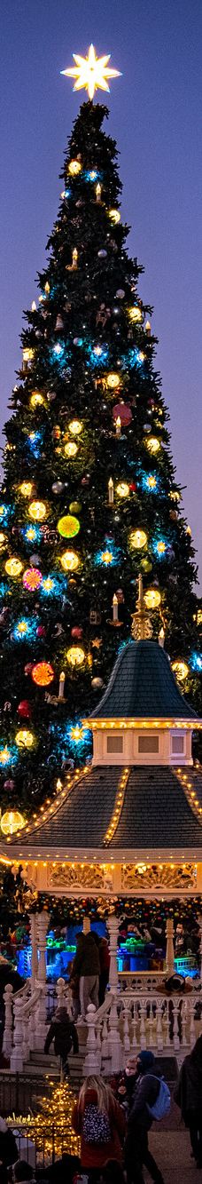 巴黎迪士尼乐园-谢尔西