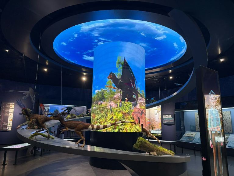 Gallery 3