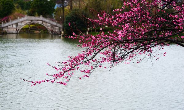 超山风景名胜区