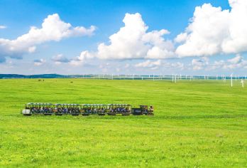 乌兰察布辉腾锡勒草原乌兰哈达火山一日游2-8人精品团专业司导【城市装不下的自由，就去草原撒野。骑快的马，追亮的星，在辽阔天地间，把日子过成诗。】