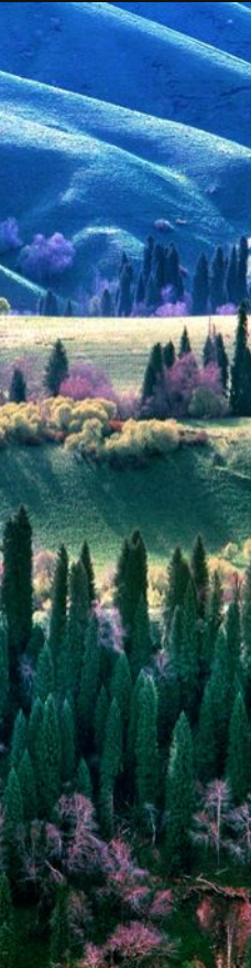 库尔德宁景区-巩留