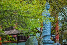 자싱 2일 투어: 우전의 수향 매력, 시탕의 고대 매력