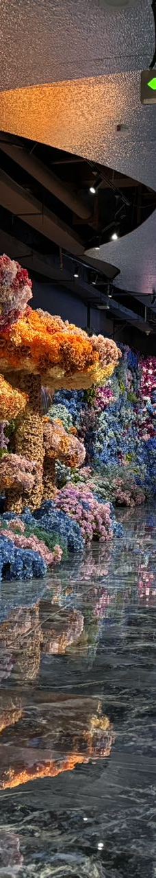 海趣花都海洋世界-昆明