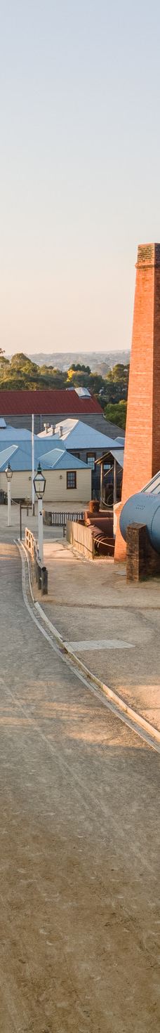 疏芬山-Golden Point