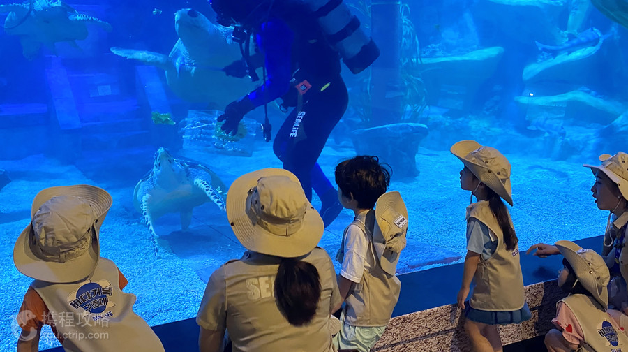 釜山SEA LIFE水族館