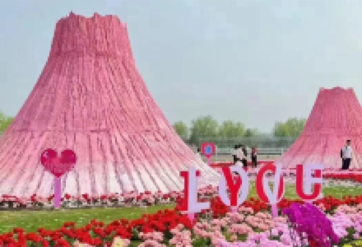 鸡冠山国家森林公园景点图片