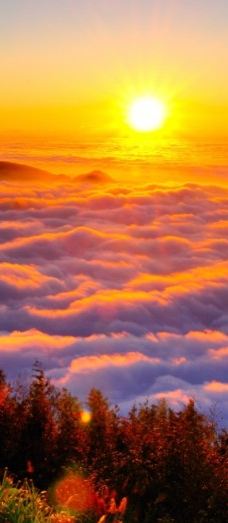 阿里山国家森林游乐区-嘉义县