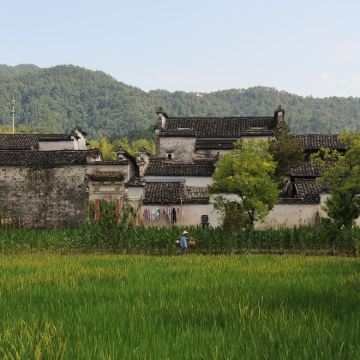 黄山风景区+西递+宏村景区+千岛湖景区5日4晚跟团游