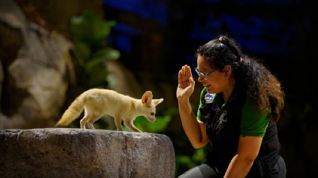 夜间野生动物园
