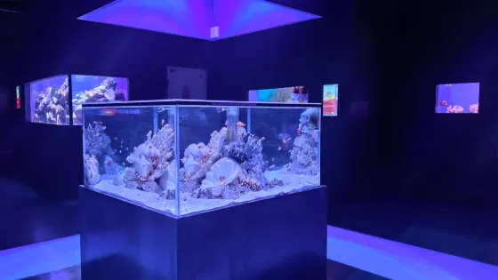 烏魯木齊海洋館