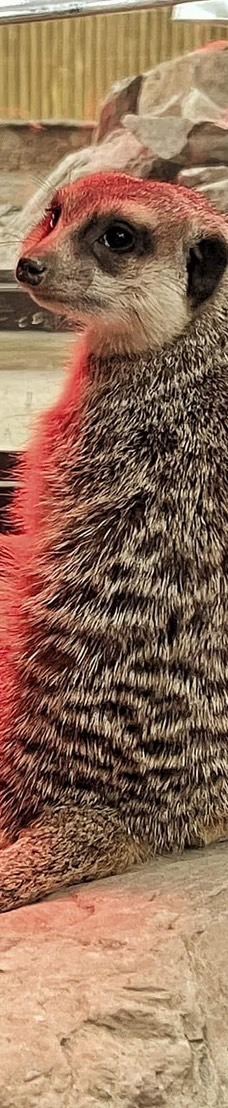 兰阳动植物王国-宜兰