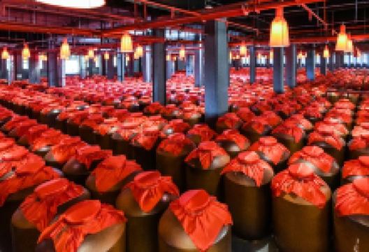 今世缘旅游景区景点图片