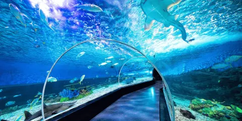 馬尼拉海洋公園