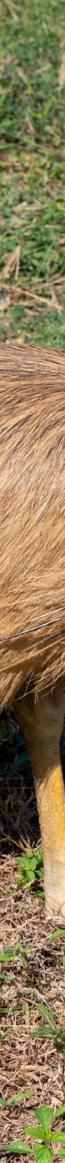 桐城动物园-桐城