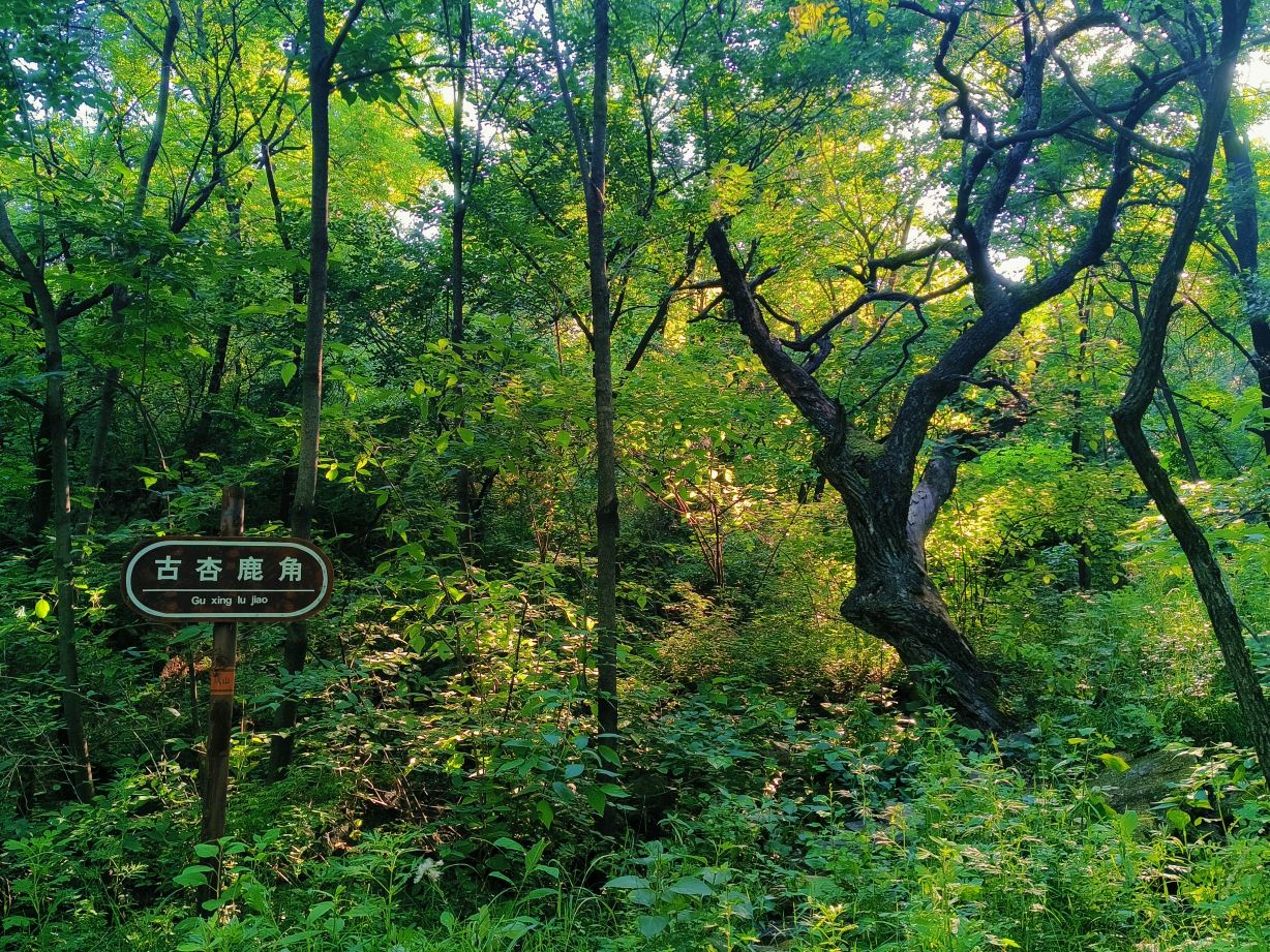 秋山风景区