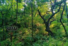 秋山风景区景点图片