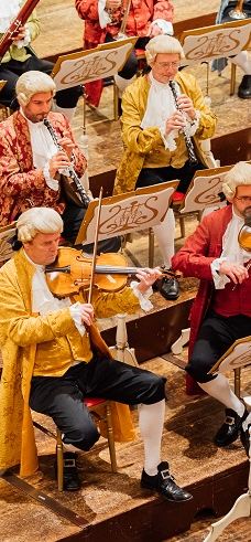 维也纳音乐协会-维也纳