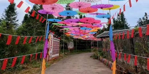 五龍山生態旅遊景區