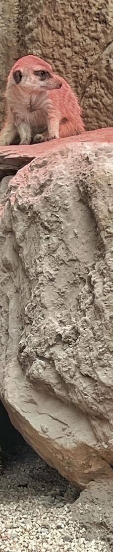 兰阳动植物王国-宜兰