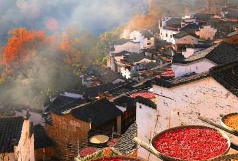 婺源篁岭一日游【天街古巷/赏秋韵/含往返索道/天天发班】【[精选行程]徽州经典线路/适合亲子出游/深入体验婺源梯田悬崖古村晒秋美景】