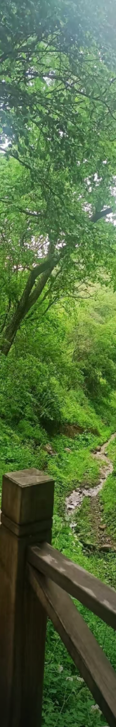 野核桃沟-巩留