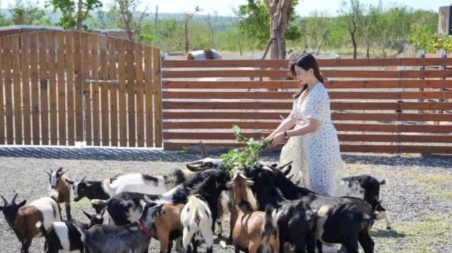 垦丁灰太狼生态教育园区