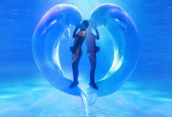 青岛极地海洋公园一日游【6人小拼团/赠游艇出海/金沙滩/】【经典景点，老牌旅游线路】