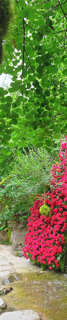 日照天台山-日照