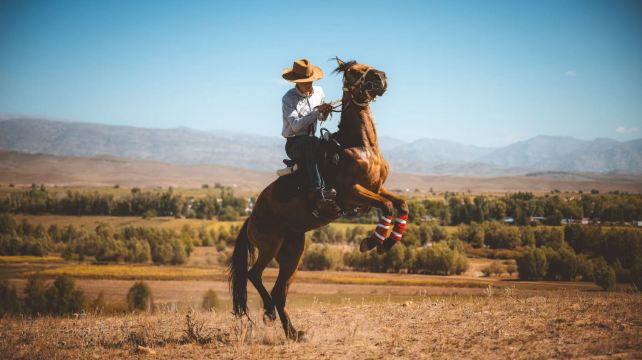 一牧场马术基地