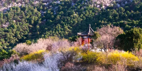 北京西山國家森林公園