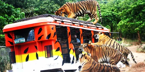蘇比克灣野生動物園