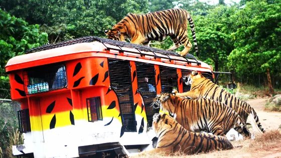 蘇比克灣野生動物園
