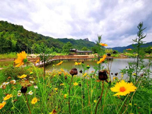 云峰山(长情谷)旅游景区