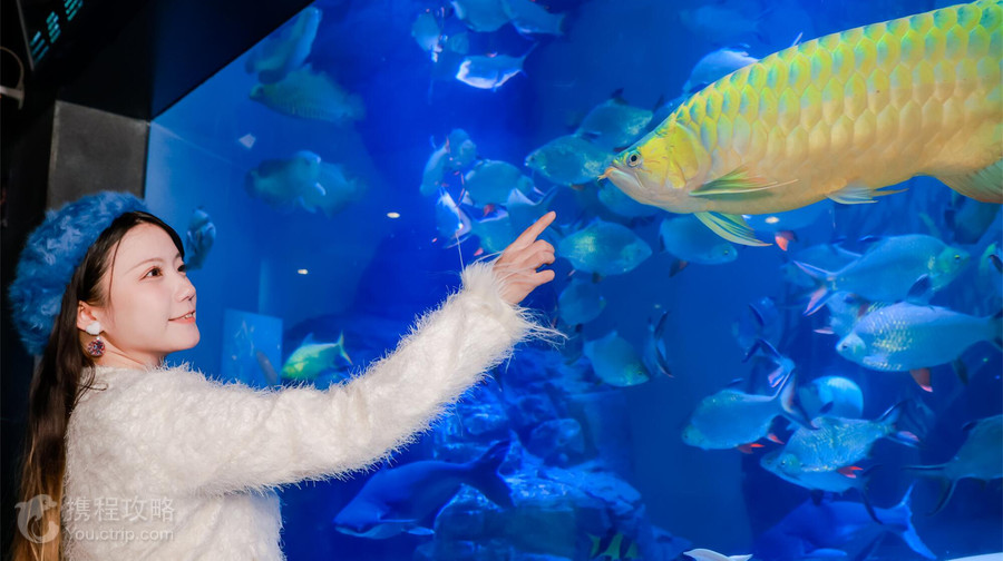 上海海洋水族館