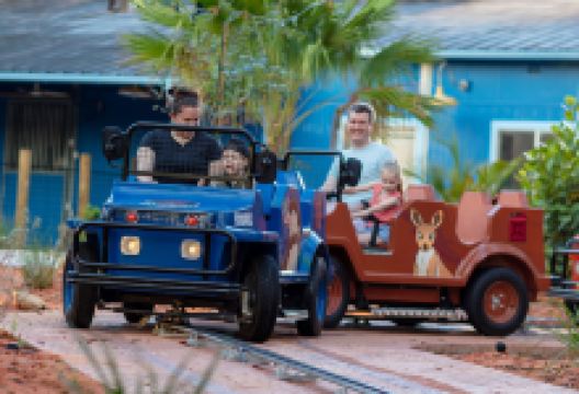 坦帕罗瑞动物园景点图片