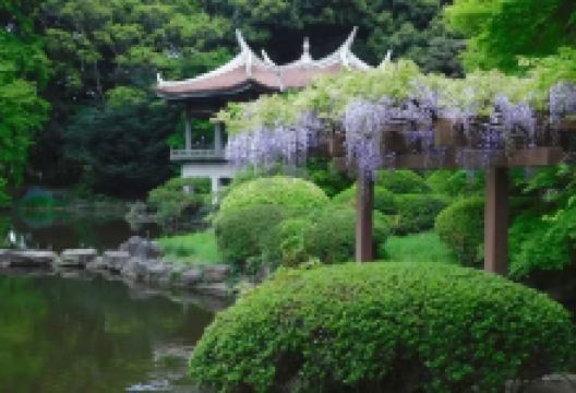 新宿御苑景点图片
