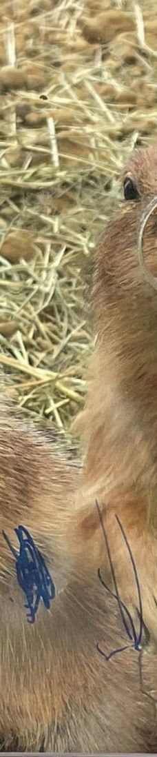 兰阳动植物王国-宜兰