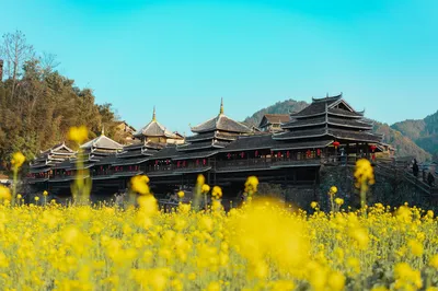 程阳八寨
