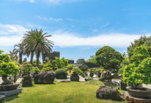 思索之苑景点图片