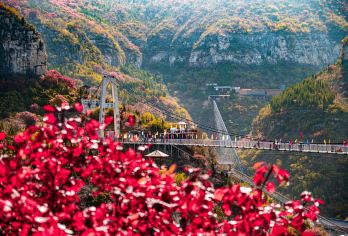 青铜山大峡谷一日游【衡水出发】【观[齐鲁第1大佛]以大佛石窟深厚的历史文化底蕴和秀美的山水峡谷资源为基础，依托“千年大佛”为福缘】