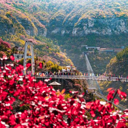 青铜山大峡谷一日游【衡水出发】