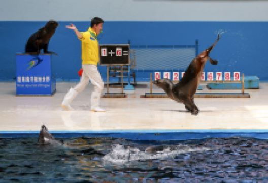 蓬莱欧乐堡海洋极地世界景点图片