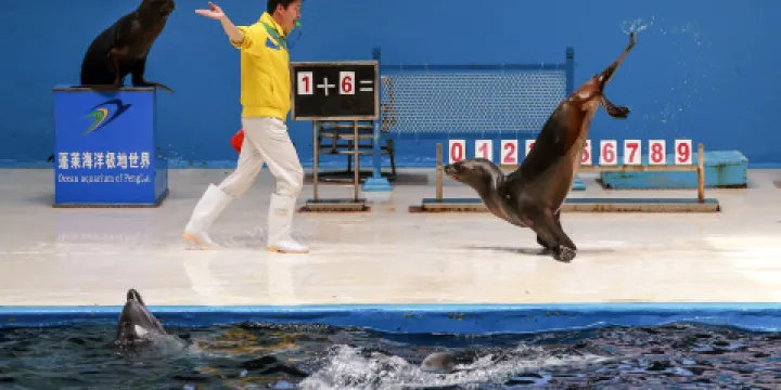 蓬萊海洋極地世界