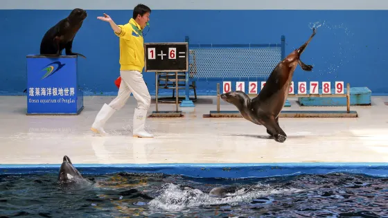 蓬萊海洋極地世界