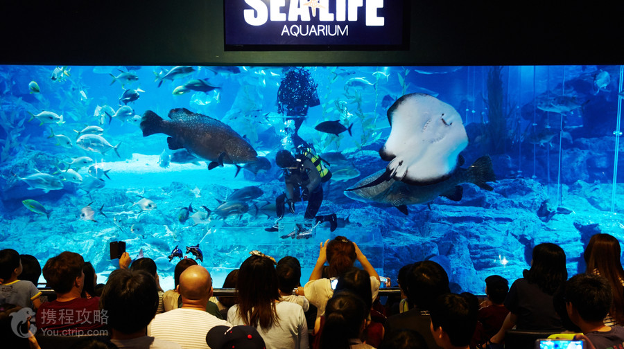 釜山SEA LIFE水族館