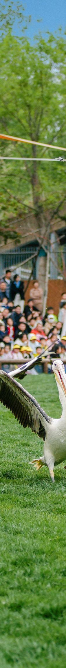 渔田七里海度假区-昌黎