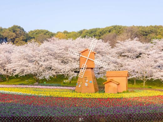 苏州上方山国家森林公园