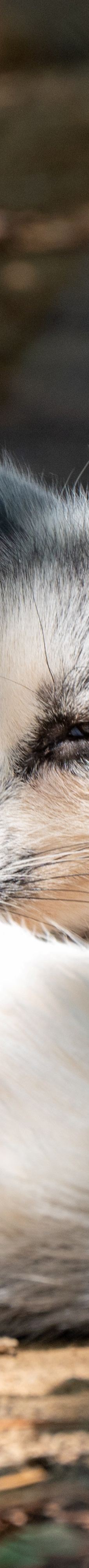 桐城动物园-桐城