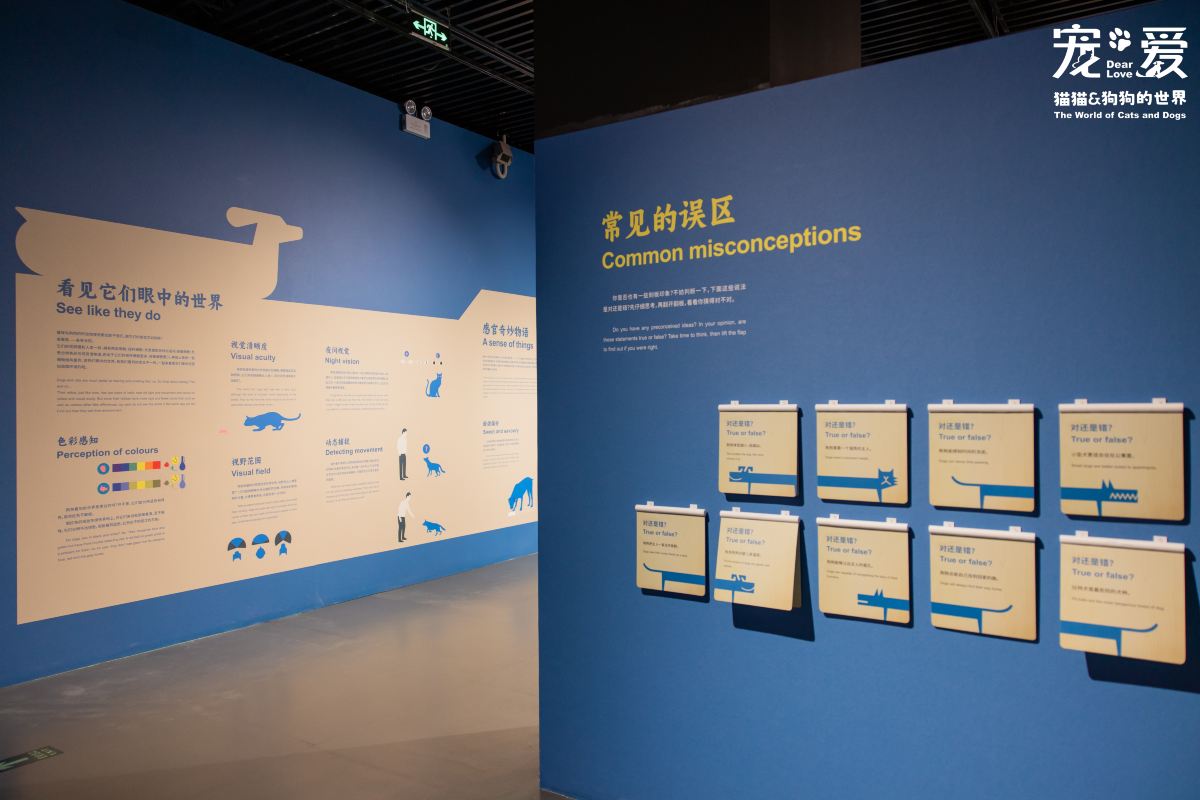 Gallery 2