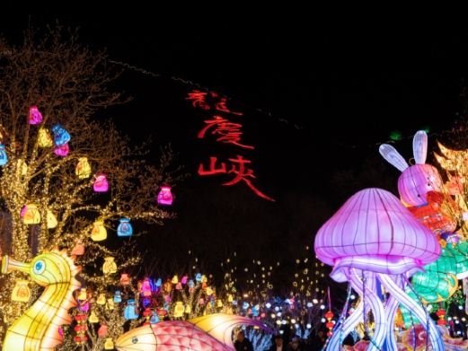 龙庆峡-龙庆峡冰灯